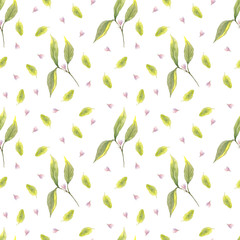 Seamless pattern with watercolor delicate flowers and leaves. Use for invitations, menus, birthdays