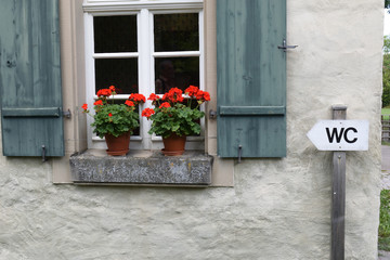 Fototapeta na wymiar Blue Shutters & Red Flowers on Window with WC Sign 6982-042