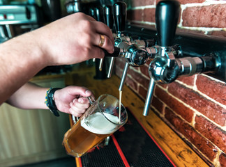 Fototapeta na wymiar the bartender pours beer into a glass