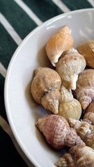 bulots dans l'assiette