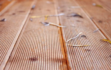 terrace siberian larch planks selective focus