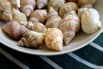 assiette de bulots