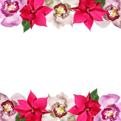 Beautiful floral background of orchids and poinsettia. Isolated