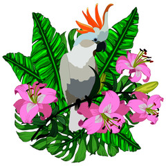 composition with tropical flowers, leaves monsters and parrot
