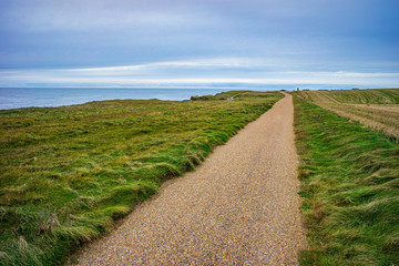 Obraz premium Radweg in Dänemark