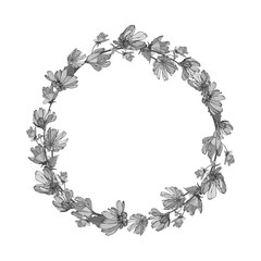 Monochrome floral round frame of black and white flowers chicory and leaves. Isolated on a white. Place for text. Wreath for your design, greeting cards, invitation. Vector stock illustration.