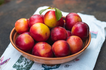 Ripe plums in a plate. Plate with plums on the table.