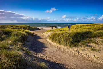 Radweg in Dänemark