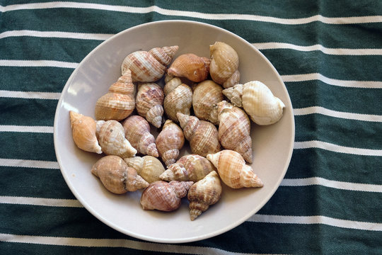 assiette de bulots