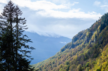 landscape in the mountains