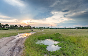 Landscape in the Okavango Delta with road and clouds and sunset