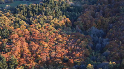 automne