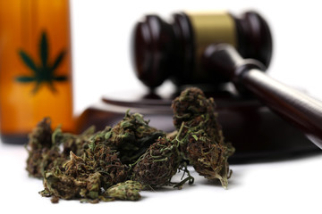 Marijuana grass with judge hummer isolated