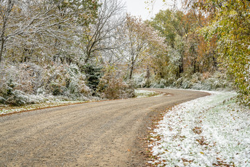 Windy gravel road through forest