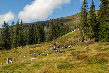 Schweiz 78