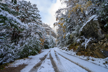 Winder is coming in the natural park of Ordesa ( Huesca, Spain)