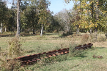 old train tracks in the forest