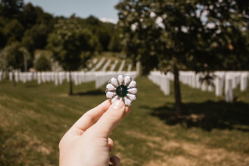  Srebrenica, 7. April 2017. Srebrenica–Potočari Memorial and Cemetery for the Victims of the 1995 Genocide. Bosnian men were executed by the Bosnian Serb Army. Woman hand holding Srebrenica flower.
