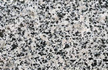 white marble with black speckling background
