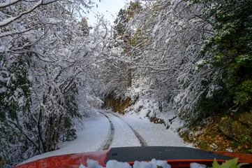 Winder is coming in the natural park of Ordesa ( Huesca, Spain)