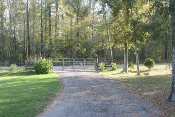 path in park