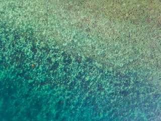 Obraz premium Stony bottom under greenish transparent water. Thailand 