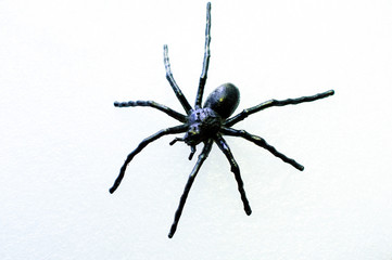 Decorative big black spider on a white background