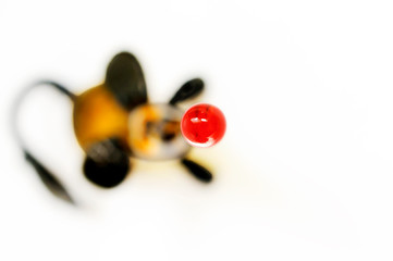 Strengthens the mouse, defocus. Focus on the nose. Symbol of the New Year 2020. Place for text. Copy space