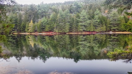 reflection of trees in lake