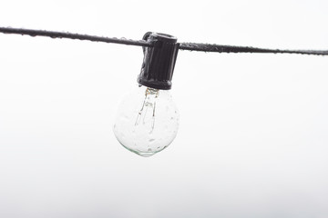 A wet bulb in detail in front of white fog. In the background a foggy landscape. Black and White.