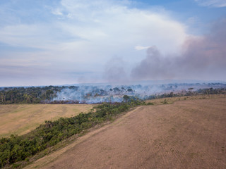 Amazon rainforest burning to increase pasture area for cattle and agriculture activities. Area already deforested in the foreground. Deforestation, environment, pollution and climate change concept.