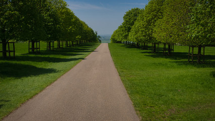 long, straight, tree lined driveway 