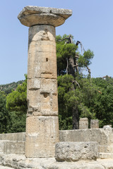 The Ancient Olympia