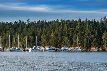 Fototapeta na wymiar Boats docked in the Nanaimo marina, BC, Canada