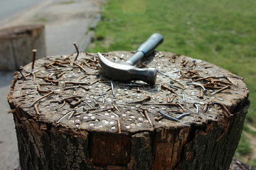 Hammered and bend nails in tree trunk