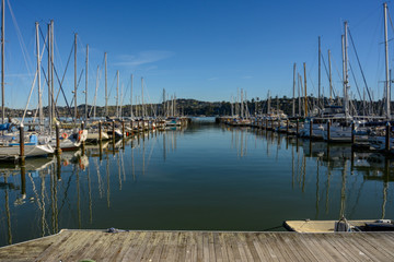 Obraz na płótnie Canvas Dock in Marina on Sunny Day