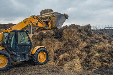 farming in Ukraine, harvesting, storage of silage, fodder for livestock