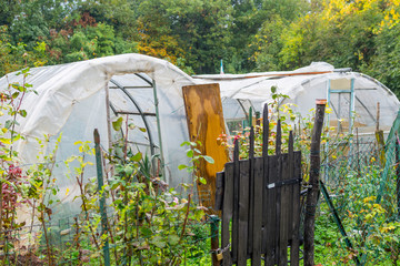 Overgrown garden to the abandoned house. People use bulky waste to separate the garden compartments.