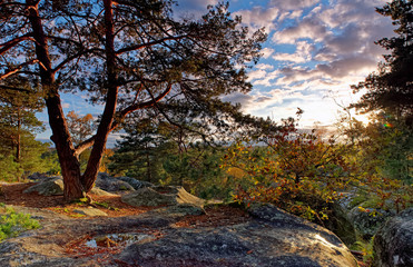 Obraz premium Gorges de Franchard in autumn season.Fontainebleau forest
