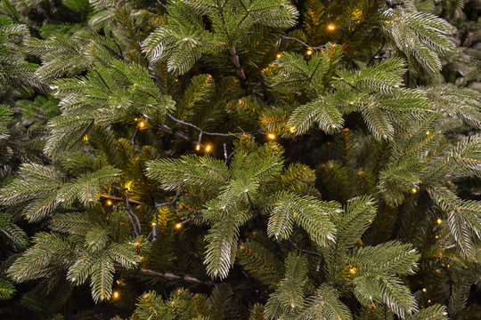 Close-up of the branches of an artificial green Christmas tree with a garland of yellow Christmas lights. Christmas holiday background