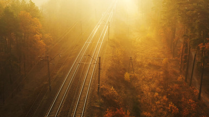 The railway runs through the morning autumn forest in the fog. Drone view