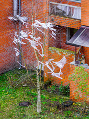 ecological disaster - pieces of polyethylene film instead of leaves