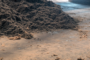 peat fraction, at the processing plant