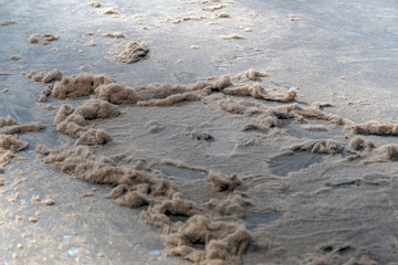 peat fraction, at the processing plant