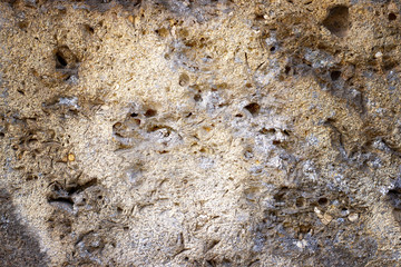 shell wall, background and screen saver, abstraction