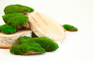 Moss and cross cuts of a tree. Decor on a white background. Nature and ecology