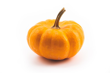 Pumpkins on old rusrik wooden. Thanksgiving day