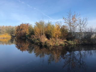 Peaceful autumn Sunday morning light at tree nurseries with reflection in the water, JP Thijssestraat, Boskoop, Netherlands