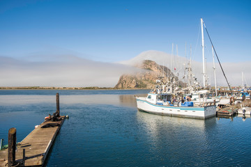 We are not Going to need a bigger boat