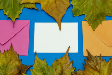 Naklejka na ściany i meble Creative Composition Created Using Colorful Envelopes, Dry Autumn Leaves and Blank White Paper For Text 